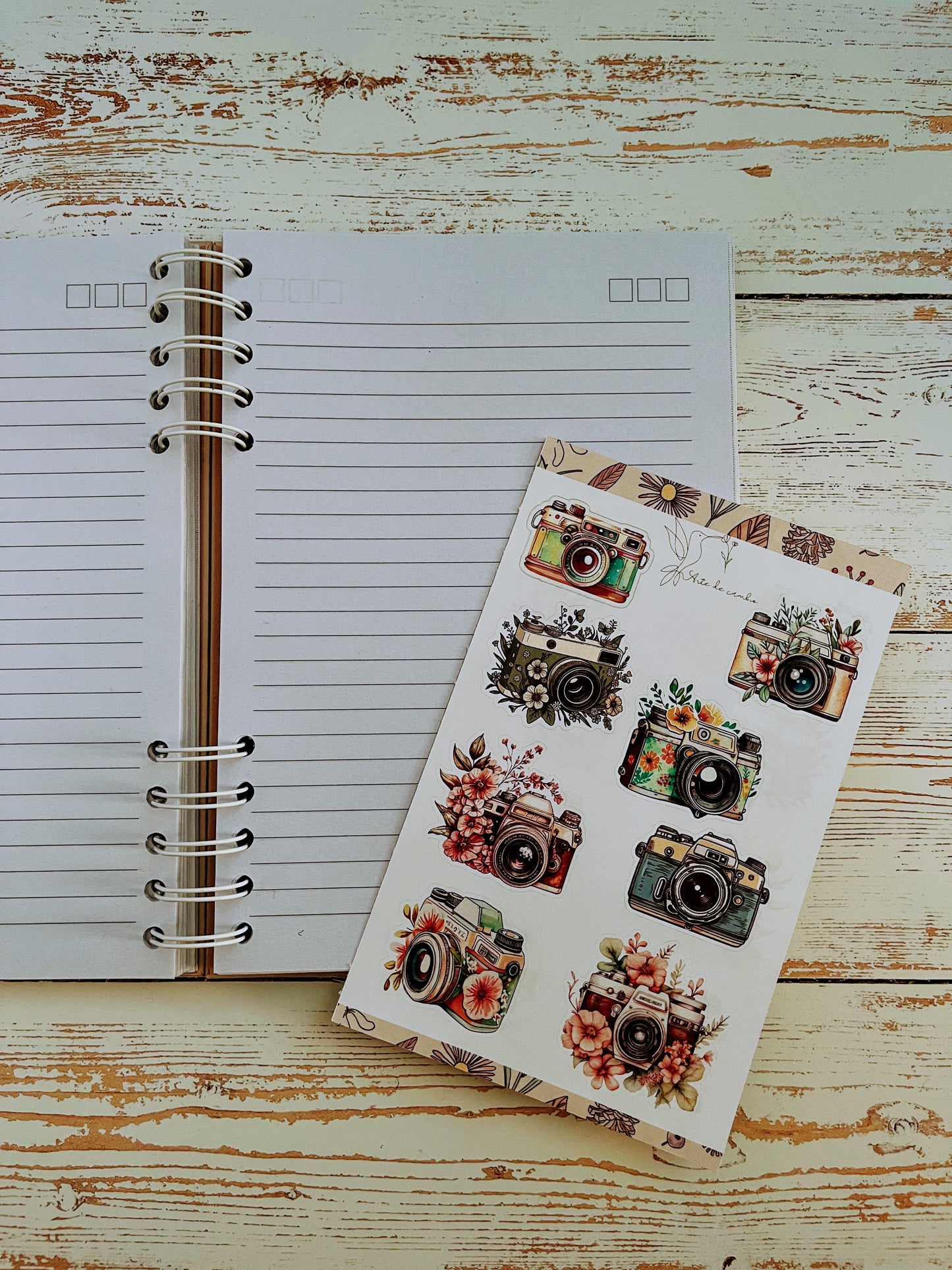 Camaras Vintage Stickers