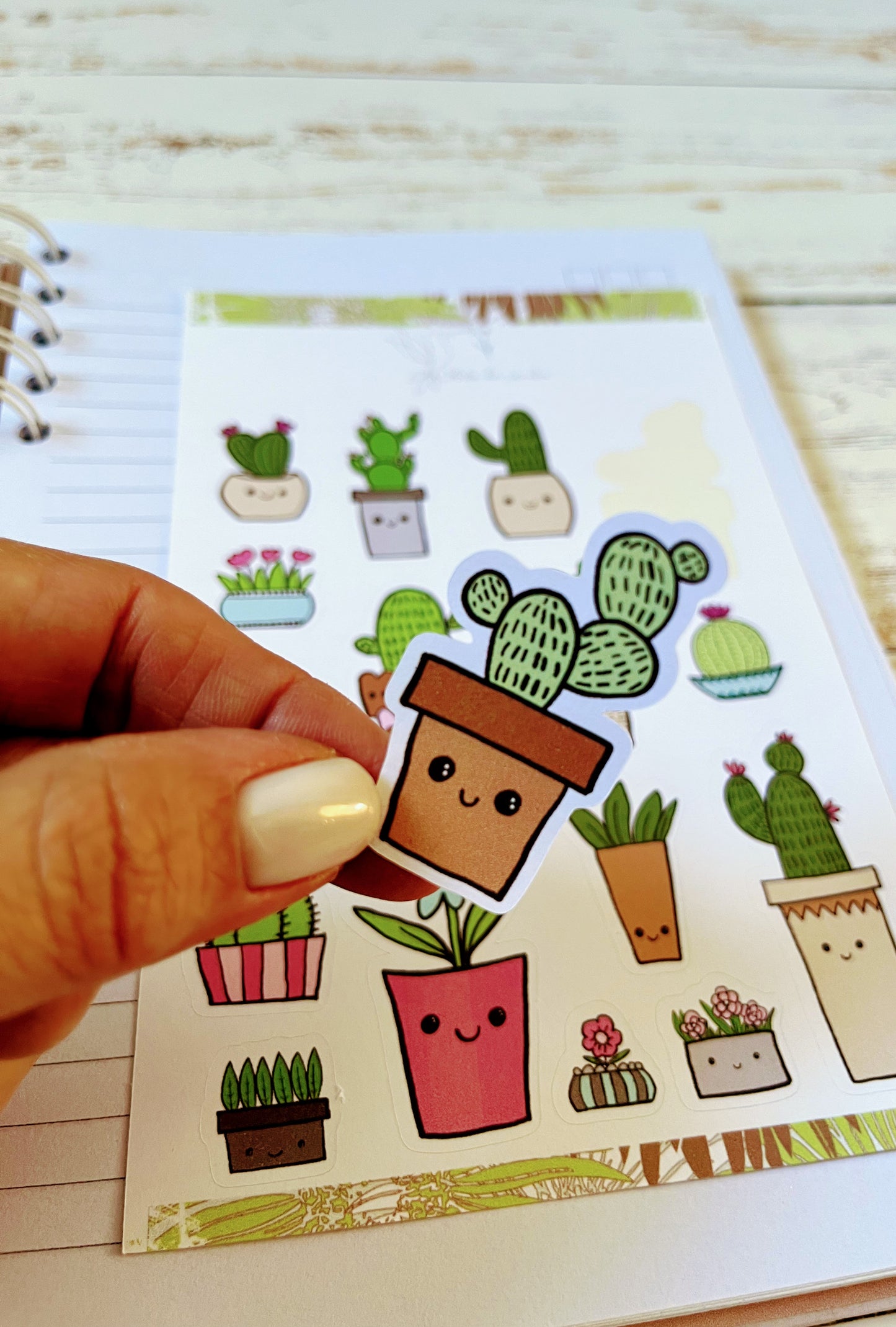 Cactus Stickers