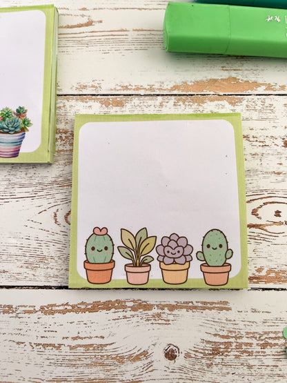 Combo Cactus