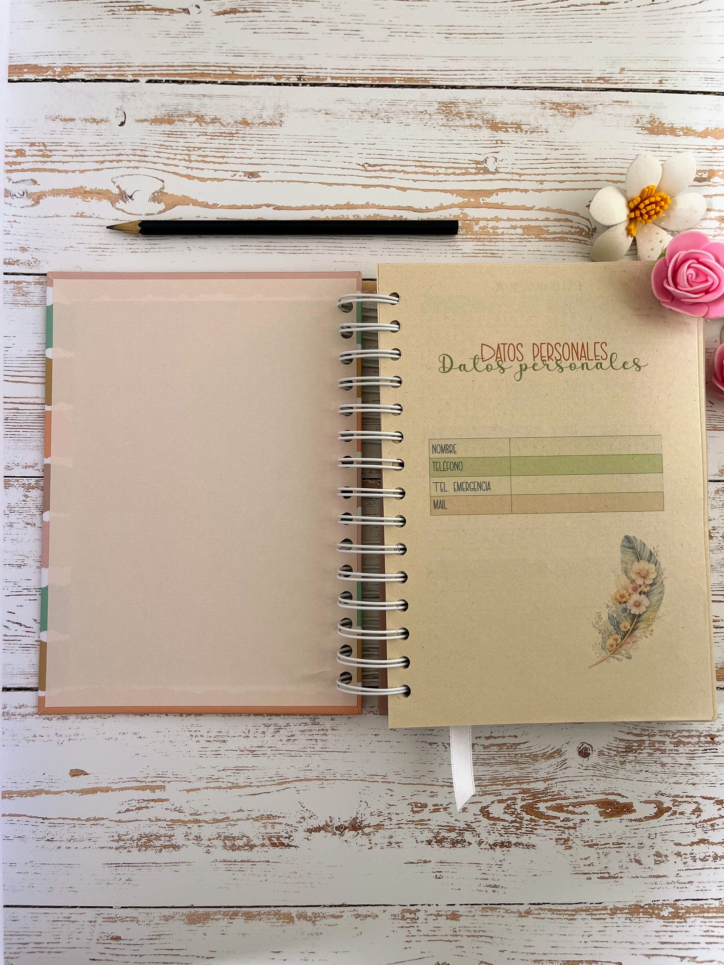 Agenda Diaria Color 2026
