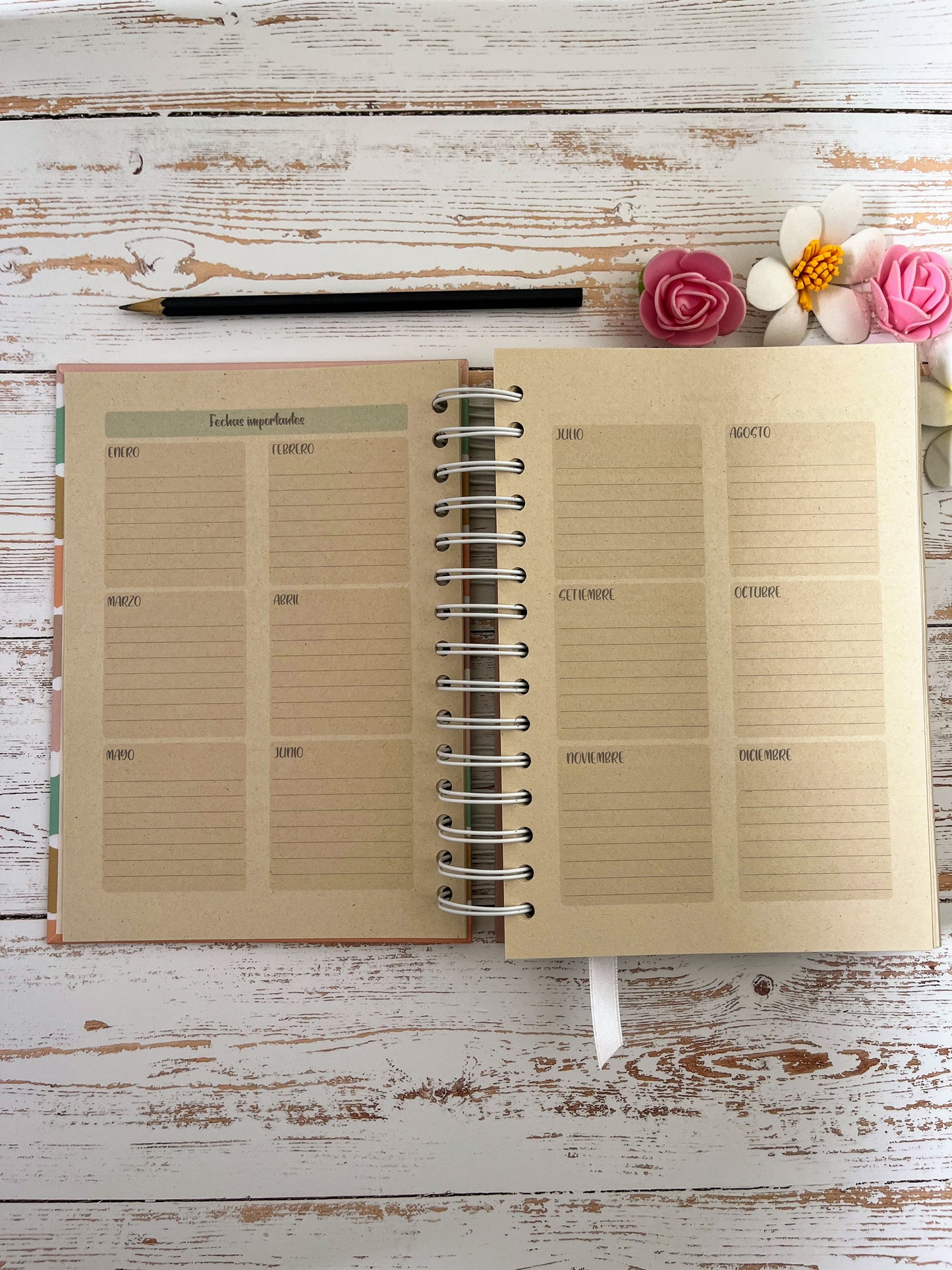 Agenda Diaria Color 2026