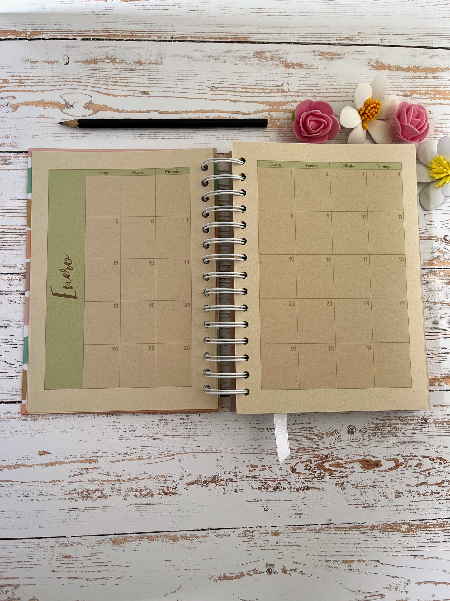 Agenda Diaria Color 2026