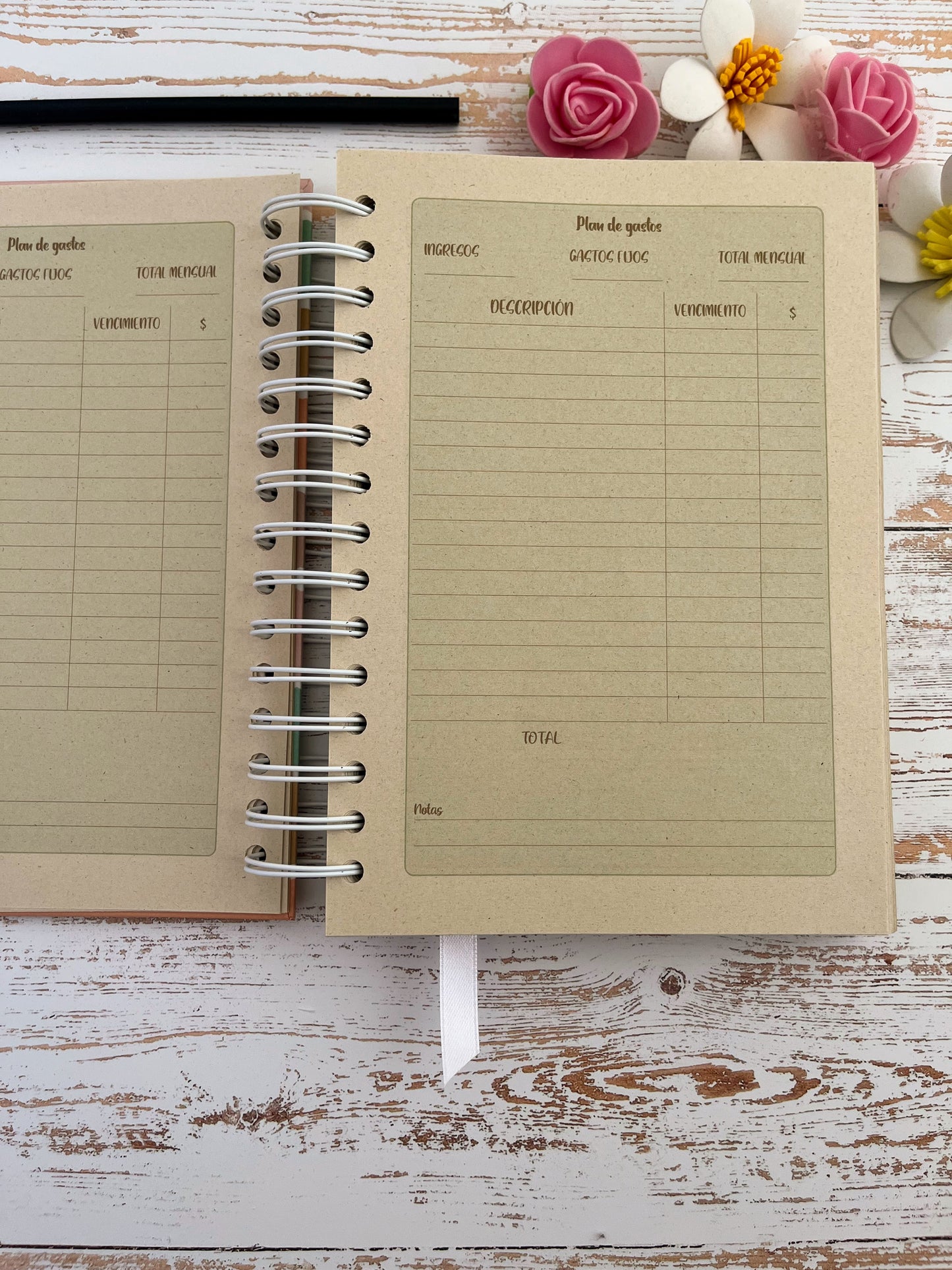 Agenda Diaria Color 2026