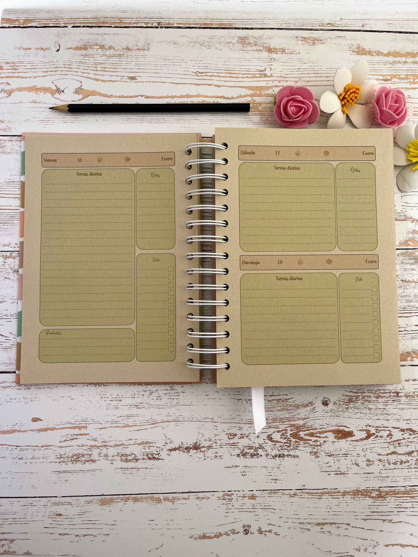 Agenda Diaria Color 2026
