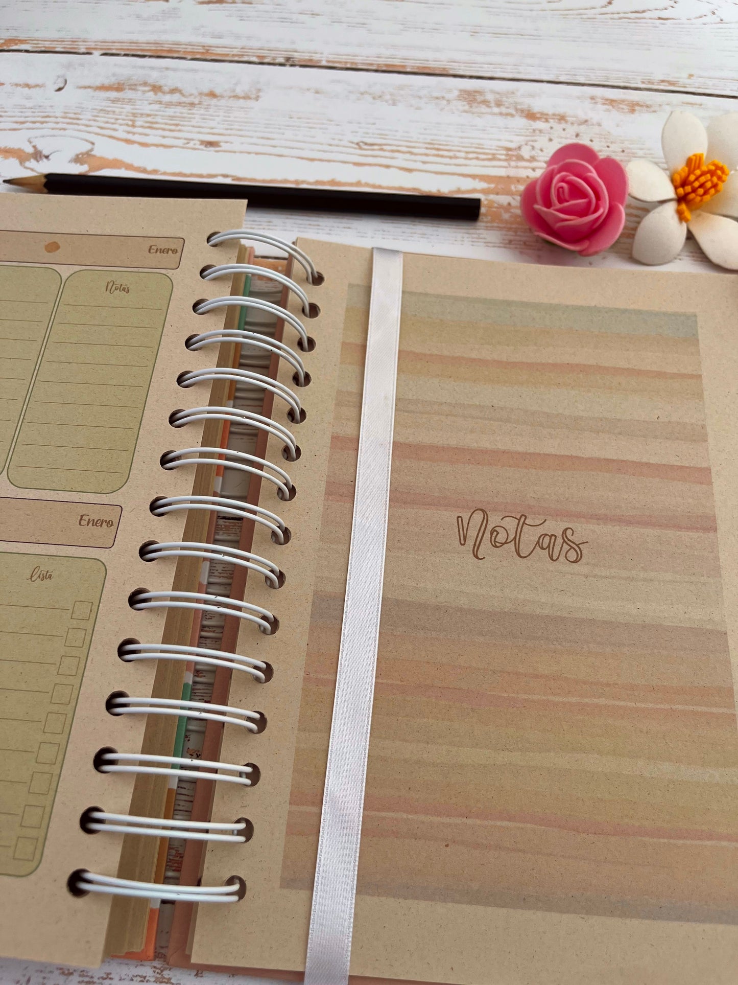 Agenda Diaria Color 2026