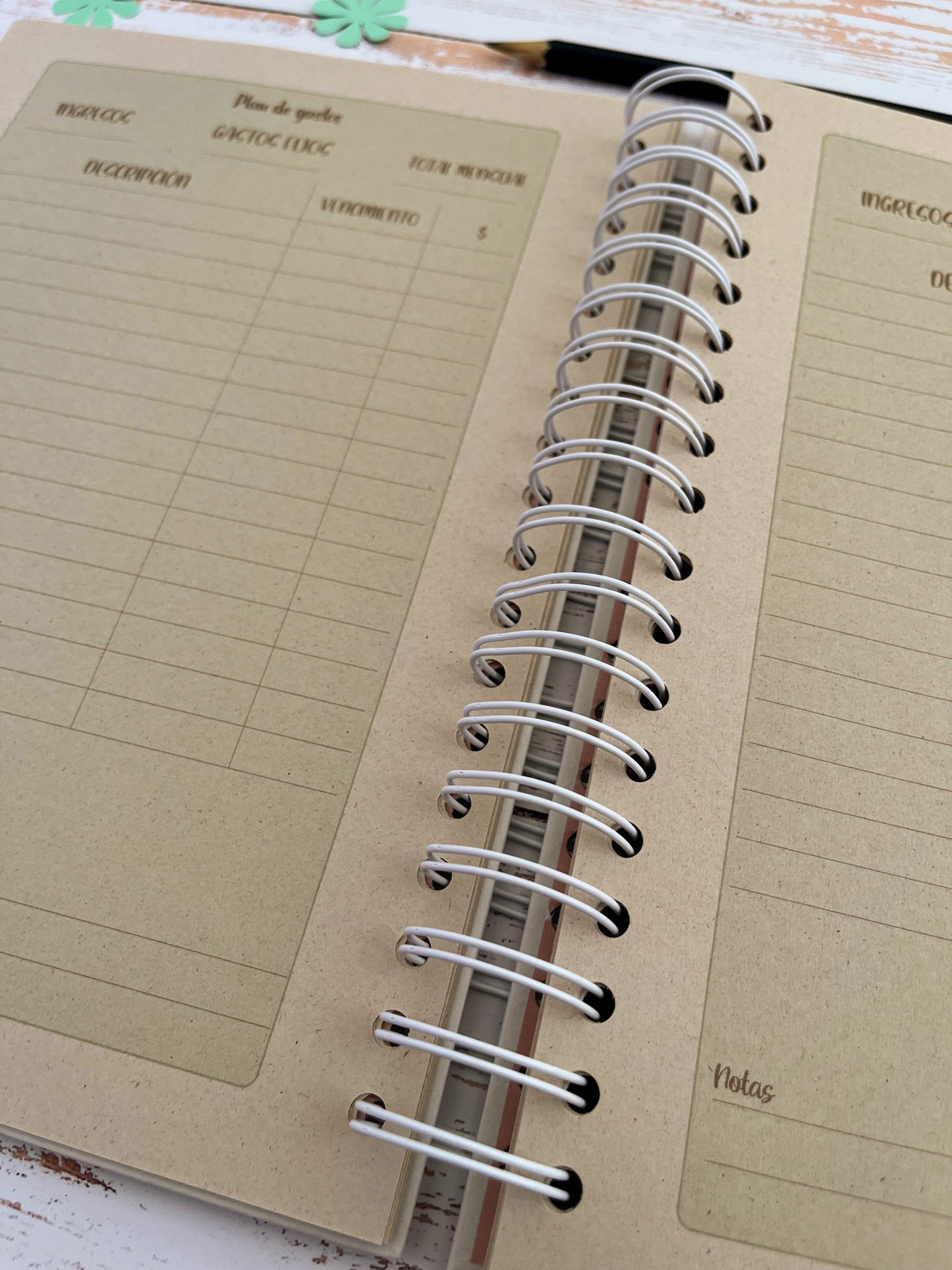 Agenda Semanal Color 2026