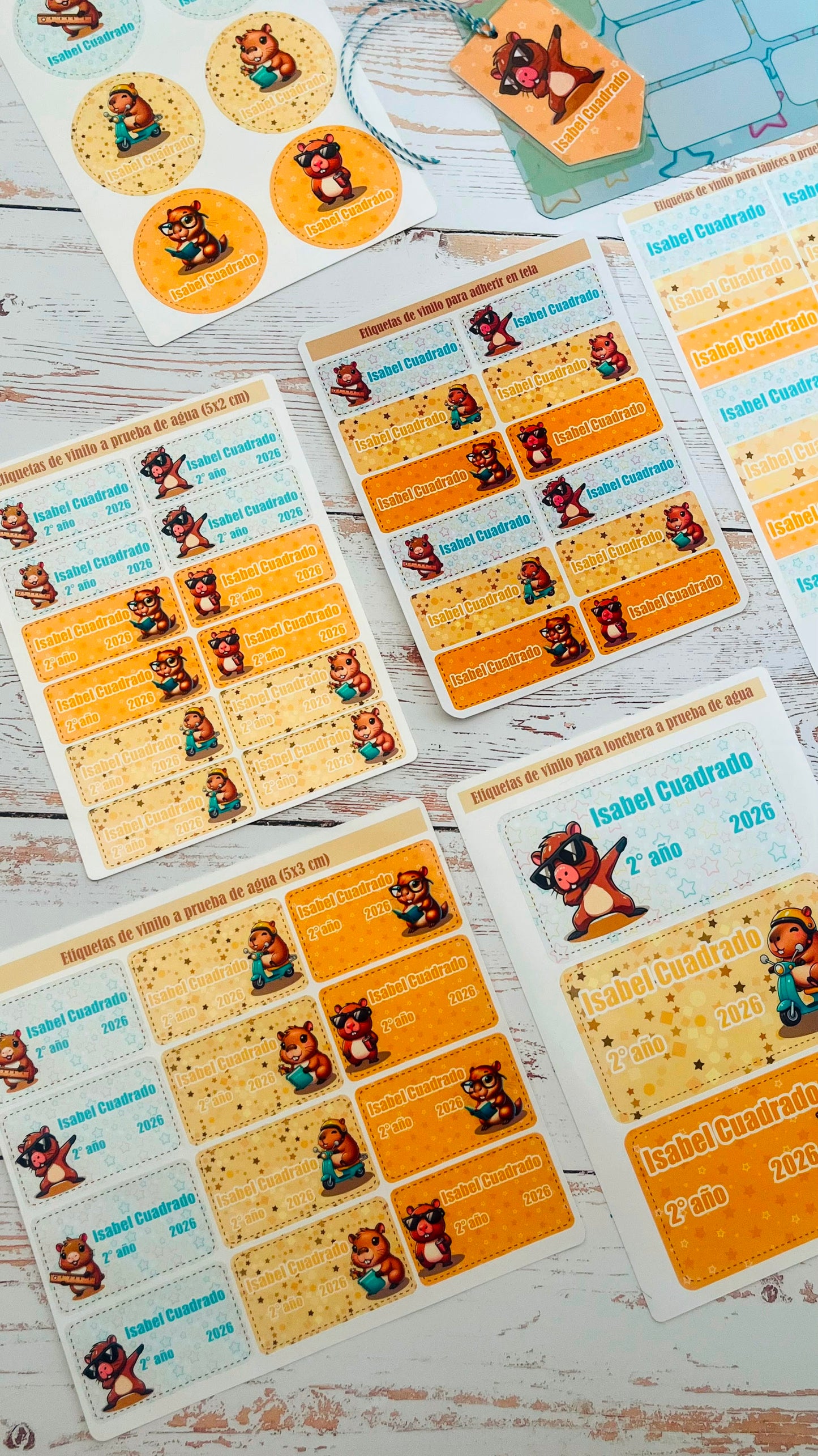 Kit de Etiquetas Escolares