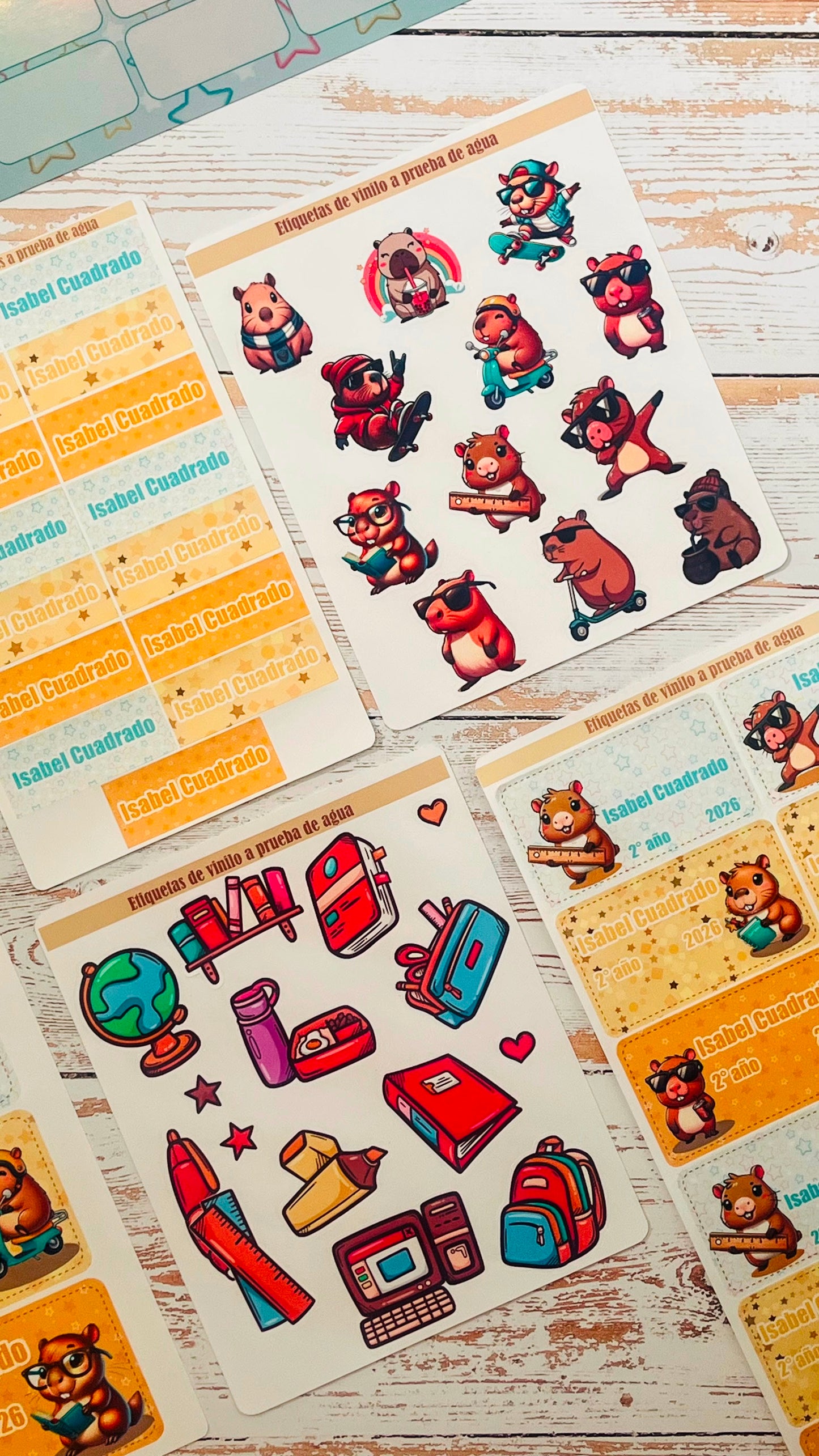 Kit de Etiquetas Escolares