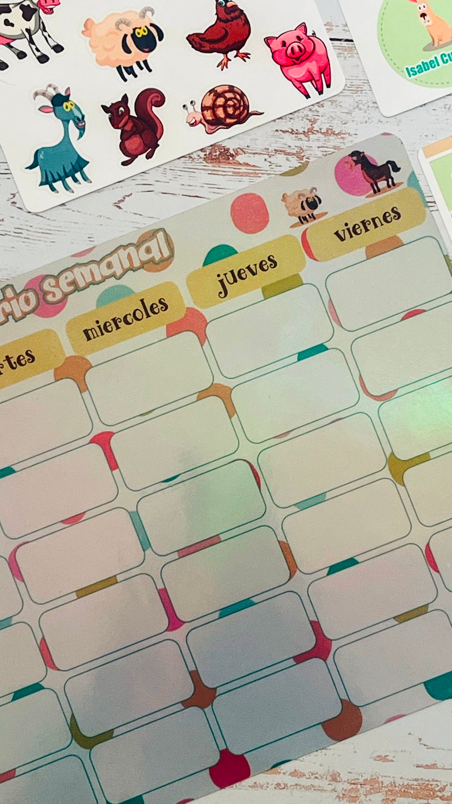 Kit de Etiquetas Escolares