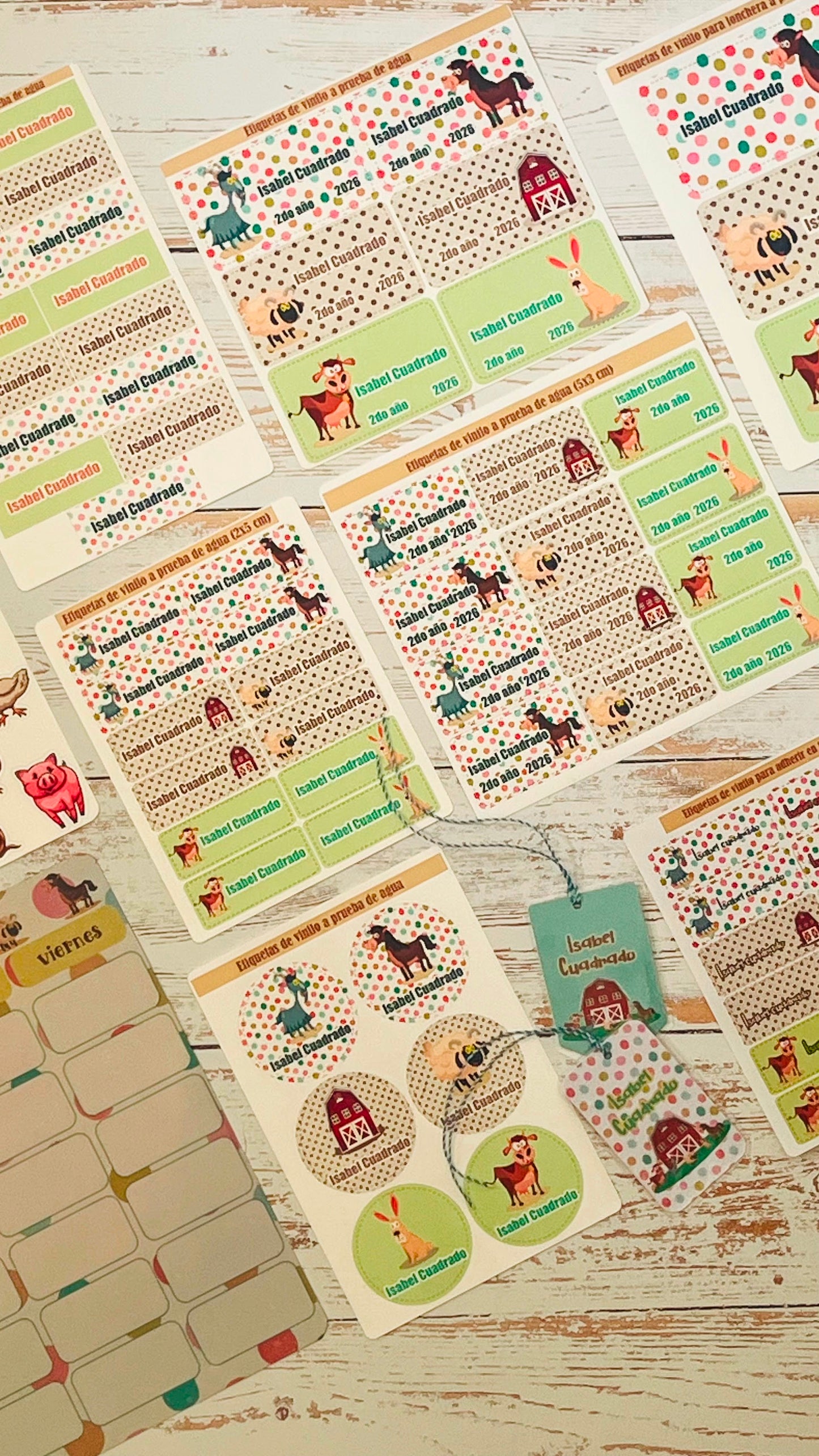 Kit de Etiquetas Escolares