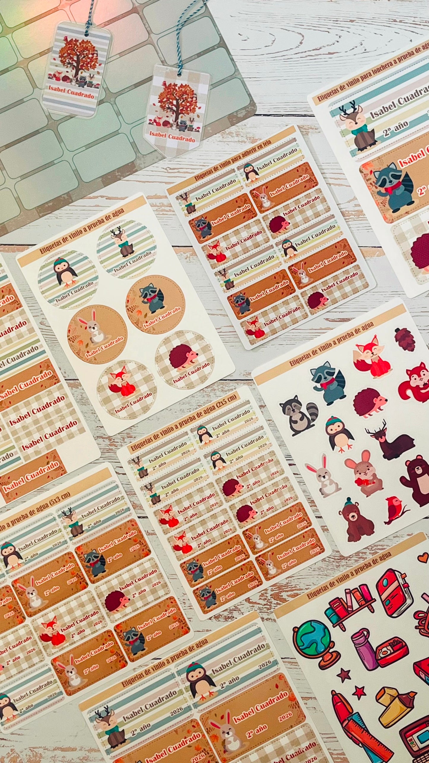 Kit de Etiquetas Escolares