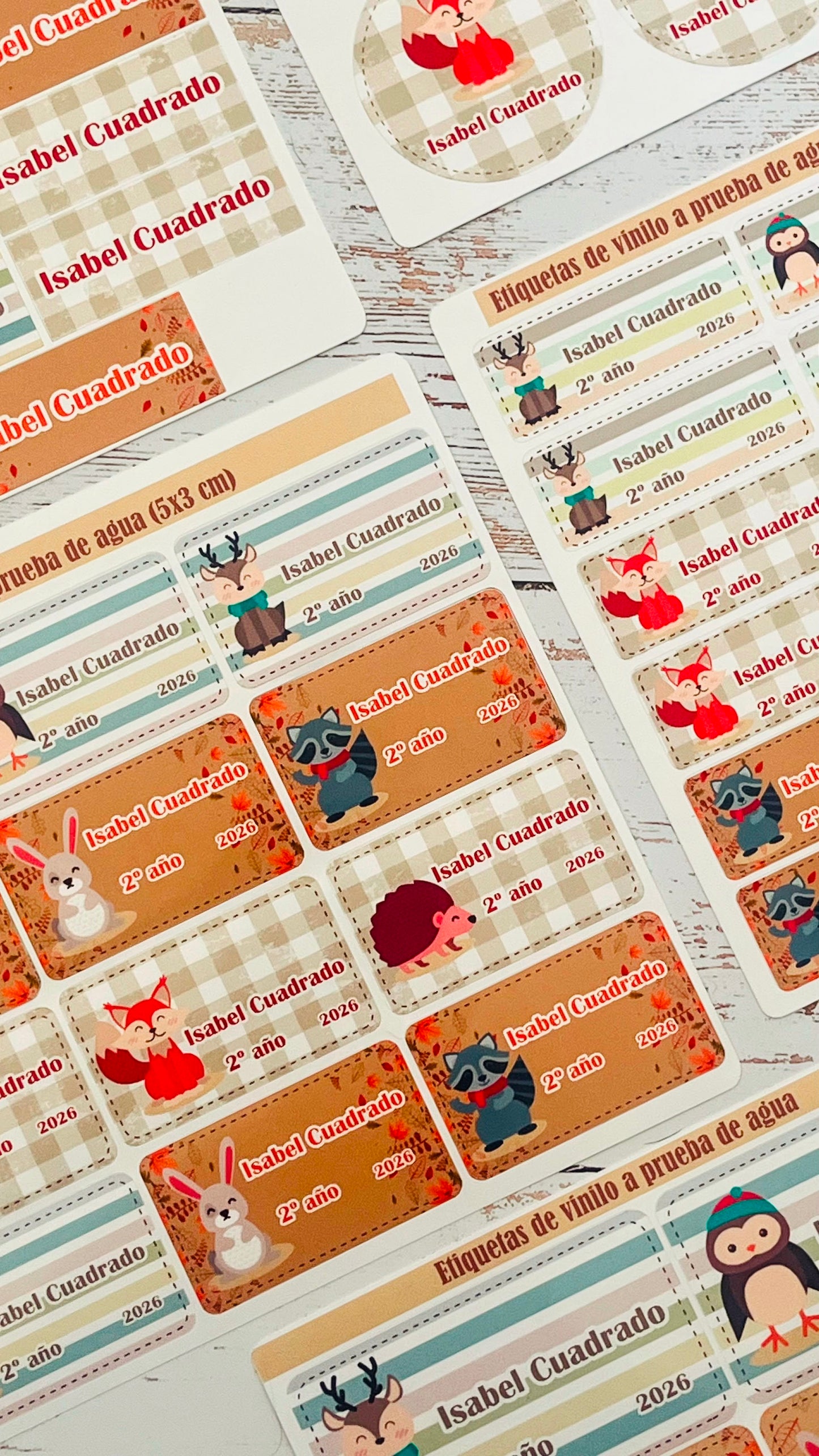 Kit de Etiquetas Escolares