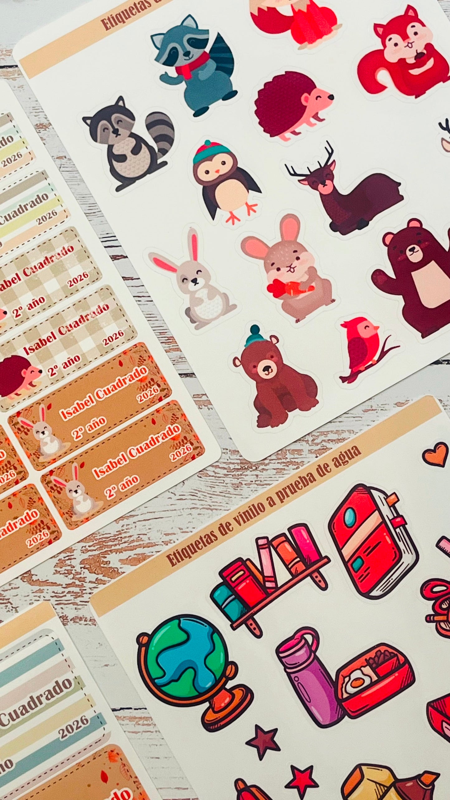 Kit de Etiquetas Escolares